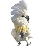 Soft Bird Neck Collar for Umbrella Cockatoo & Yellow-Crested Cockatoo Parrots
