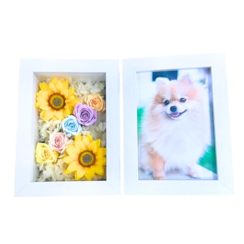 Lulu's Y ̋ Ђ܂ tHgt[ vU[uht[ ybg   TCY:22cm s6.5cm 15cm ̋Ђ܂ Lulu's-0732