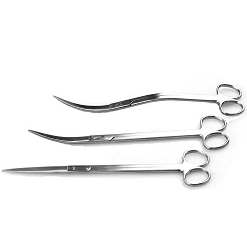 Acero inoxidable AmgateEu plantas acuáticas tijeras para acuario Peces Tanque Tijeras (25,4 cm), 3-Pack