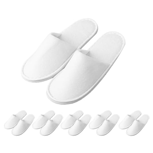 ĝăXbp Zbg pCn 24cm ӂӂ   h ze Ɩp o s qp gѕ֗ (6Zbg)