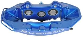 Amazon.com: GM Genuine Parts 172-2489 (25923821) Blue Front Driver