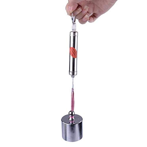 BFFDD 1PCS Mini Escala electrónica del Peso de Balance de retroiluminación de LCD portátil 100g / 40Kg Que cuelga la Escala Gancho Escala de Equipaje Digital (Color : Silver Color 5kg) Cover