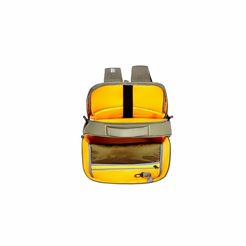 Image of American Tourister Zork Edge | 24.5 Ltrs | 2 Compartments | Bottle Pocket | Ergonomic Padded Back Panel & Shoulder Straps | Executive Backpack | 1 Year International Warranty | Green