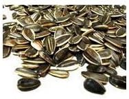 Bulk Seeds, 100% Organic In Shell Raw Sunflower Seeds, 25 Lbs by UNFI