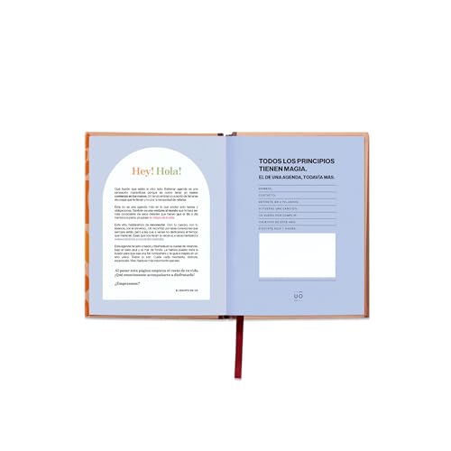 UO School Diary And Whatever Haves To Happen Mini Week View: Starts September 2024 And Ends August 2025, Hardcover - Image 3