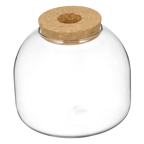 GANAZONO Corcho Botella De Vidrio Pescado Ecosfera Caracol Terrario Casa Ventana Macetero Cajas Aire Libre Terrario Cerrado Grifo Árbol Artificial Tazón Grande Planta De Interior
