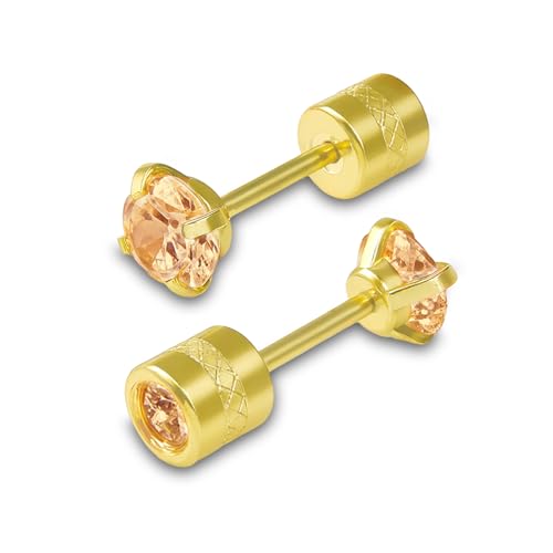 [Noelmarket] sAX t[vsAX ςȂ T[WJXeX 316L jbPt[ Ԃ ~jsAX Vv i  fB[X l 30 40 v[g 킢 ꂢ  3mm 4mm 5mm (I