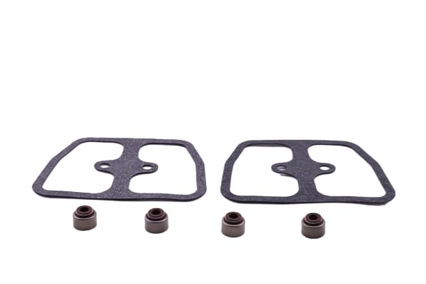 92049-7001&11060-7013 Rocker Cover Gasket & Valve Stem Seal Kit Compatible with Kawasaki Series FH601V FH601D FH641V FH680V FH721V FH770D