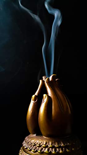 Sandesh Cones - Clove - 10 Cones Plus Burner Per Box #TOP4