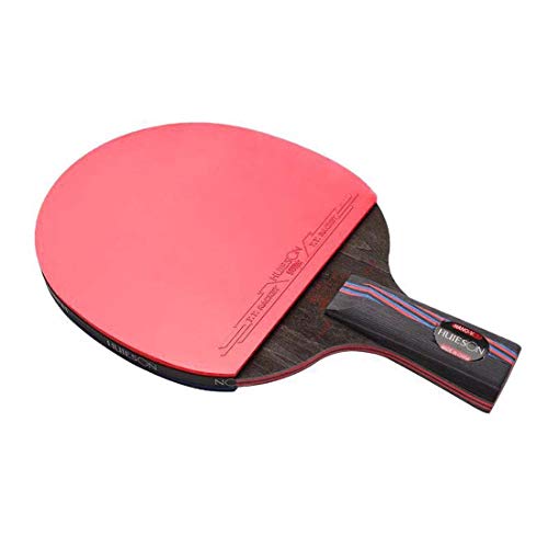 Find The Best Defensive Ping Pong Paddle Reviews & Comparison - Katynel