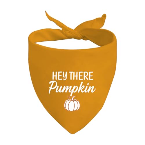 JXGZSO 1�s�[�X Hey There Pumpkin �g���C�A���O�� �h�b�O �o���_�i ���Ӎ� �l�N�^�C �I�� �X�J�[�t �H �q�� �M�t�g (There Pumpkin 2.0 Dog)