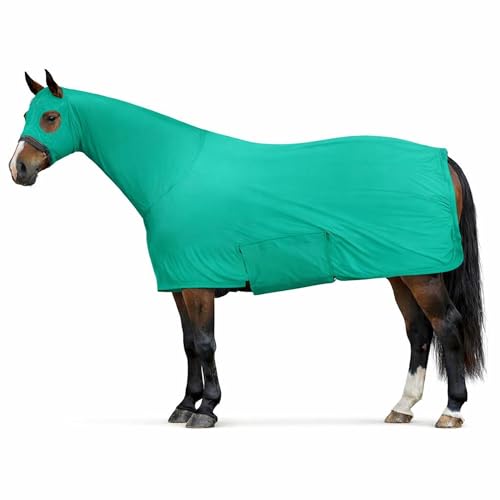 Majestic Ally Full Body Horse Sheet with Neck Cover, 4-Way Stretch Spandex, Multiple Colors, Small to Extra Large (Turquoise, Medium)