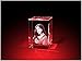 Produktbild GLASFOTO.COM, Ihr eigenes 3D-Porträt vom Foto - 1 Person Glasfoto, 40 x 60 x 40 mm, als individuell anpassbares Geschenk, Kristallglas Innengravur in Premiumqualität