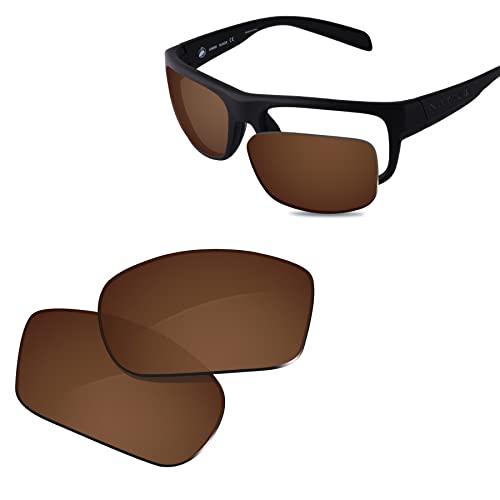 Verres de rechange lunettes de soleil Native Ashdown XD9003