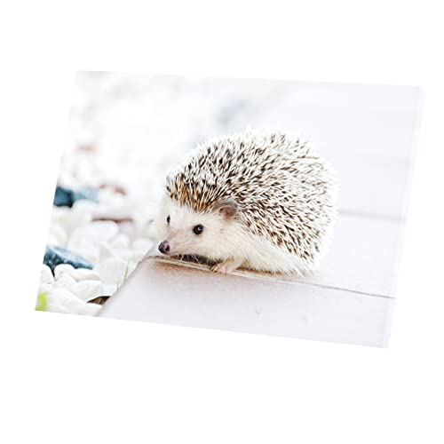 Animaux de Jardin tableau hérisson blanc sur toile imprimée premium pour décoration raffinée