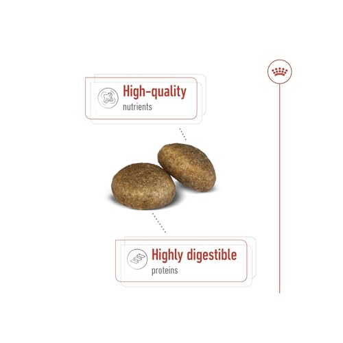 Image of Royal Canin Maxi Adult Dog Food, Dry Food, Supports Digestive Health & Optimal Health, Provides Bone & Joint Support, 15 Kg