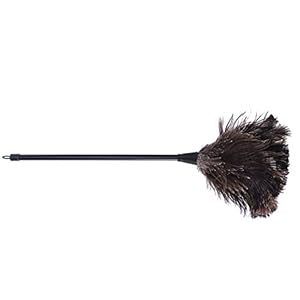 Doitool Struisvogel Veer Duster Plastic Handvat,1PC Duster voor Blinds Keuken Toetsenbord Kantoor, Slim en Zacht en…