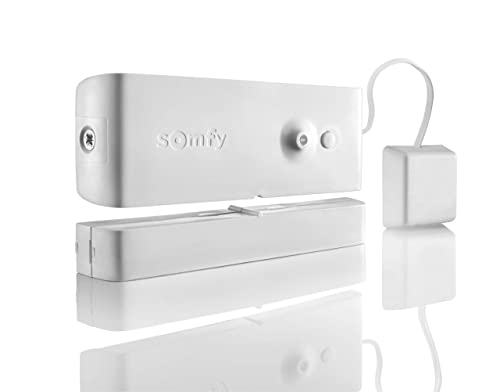 Somfy 2400931 - Détecteur d'Ouverture et de Bris de Vitre Blanc - Compatible avec les Alarmes Protexiom ou Protexial