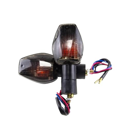Clignotants moto Hornet brisés remplacez vos feux cassés pour CB600F