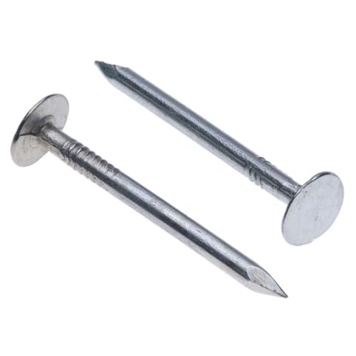 Clou a Tete Toiture en Feutre 40mm (Paquet de 100) Clous Grosse Tête Galvanisés pour le Bricolage la Décoration d'intérieur et la Construction Taille Toit...