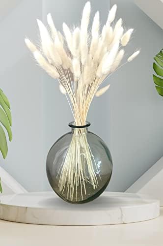 VELAFEE 60PCs (White) Sweet Dried Flowers Bunny Tails Pampas Grass Decor for Home Decor 45cm-17.7inches, Rabbit Tails Dried Flowers Bouquet, Best Choice for Boho Decor, Table Decoration, Bedroom Decor