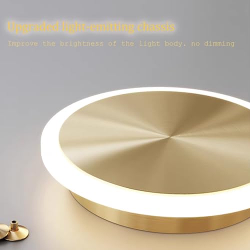 Lustre LED moderne à intensité variable suspension métal 45W - 5