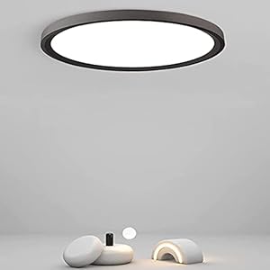 Anten Plafondlamp LED zwart | 24W plafondlamp rond ultradun Ø 30×2.4cm | 2400LM modern voor slaapkamer keuken hal woonkamer kantoor balkon neutraal wit 4000K