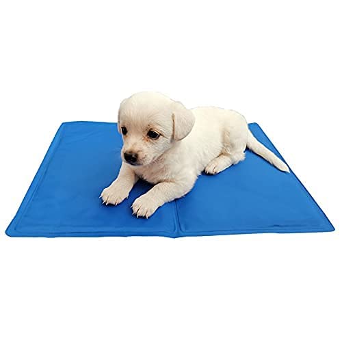 PetaHouse (New Edition) Holy Paws Cool Mat for Dogs & Cat (Size