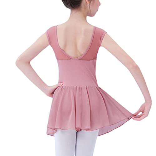 Libaobaoyo Girls Ballet Tank Leotards Hollow Back Chiffon Tutu Dress Ballerina Dance Outfits for Toddler