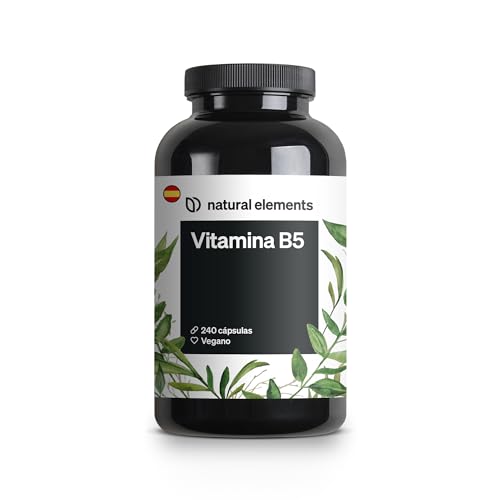 Vitamina B5 – 240 cápsulas – 500 mg de ácido pantoténico de alta dosificación – producto...