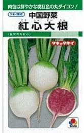 Amazon 大根 種 紅心大根 小袋 約1dl 野菜