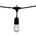 Bulbrite 30-Foot String Light Kit with Clear Vintage Style S14 Incandescent Light Bulbs