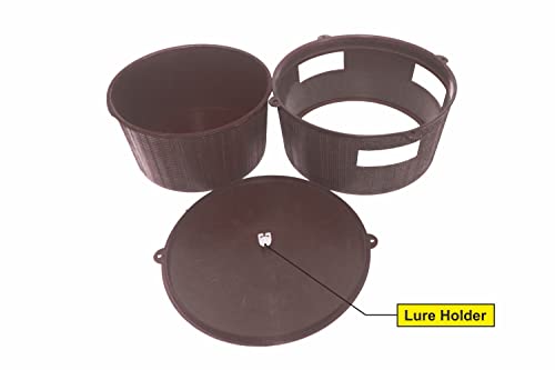 Green Revolution Pack of 2 Pheromone Trap & Lure for Red Palm Weevil (Rhynchophorus ferrugineus) KOKO Activator Free.