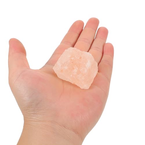 Pierres de sel de l'Himalaya naturelles 1 kg rose blocs 2-4 cm