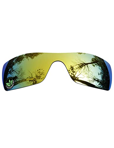 Image of Raydi Polycarbonate Replacement Lenses for Oakley Batwolf OO9101 Rectangular Sunglasses