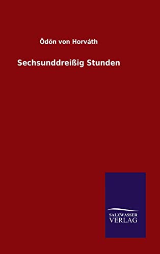 Sechsunddreißig Stunden (German Edition)