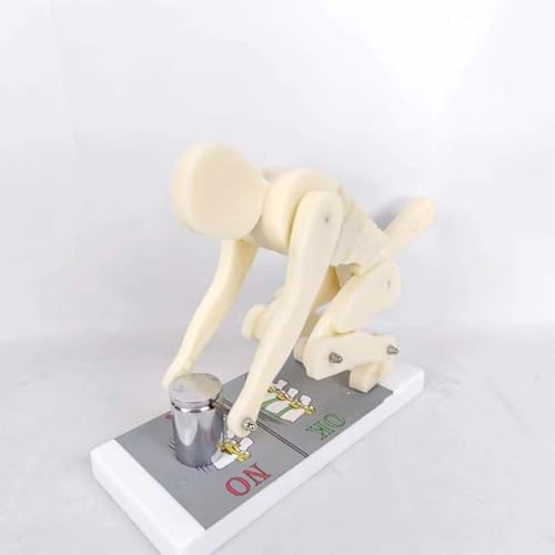 Modelo Pro Correct Lifting para demostración de postura correcta en ejercicios y levantamiento de cargas, con base, entrenador interactivo de postura corporal y columna lumbar para biomecánica y anatomía miniatura 6