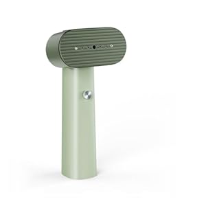 G6 Steamer for Clothes Portable 2-in-1 Travel Iron for Clothes, Just 0.7lbs Lightly, 10 Minutes of Continuous Steam, 900W Light Steamer for travel and home (green)