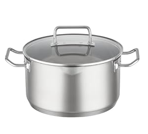 RÖSLE EXPERTISO Kochtopf, Hochwertiger Universaltopf aus Edelstahl 18/10, 24 cm, Glasdeckel, Innenskalierung, induktionsgeeignet, spülmaschinengeeignet, Silberfarben