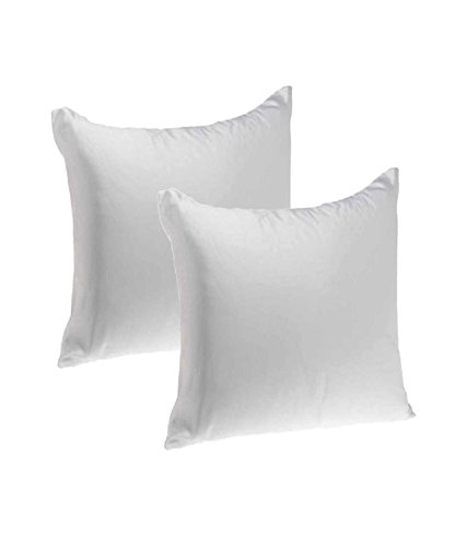 JDX Hollow Compressed Hotel Quality Cushion Set of 2-16x16 Inches, B08F24LRC1