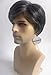 Nicetobuy Umeet Short Straight Grey Color Heat Resistant Synthetic Natural Looking Mens Wig, Black mixed Whtie