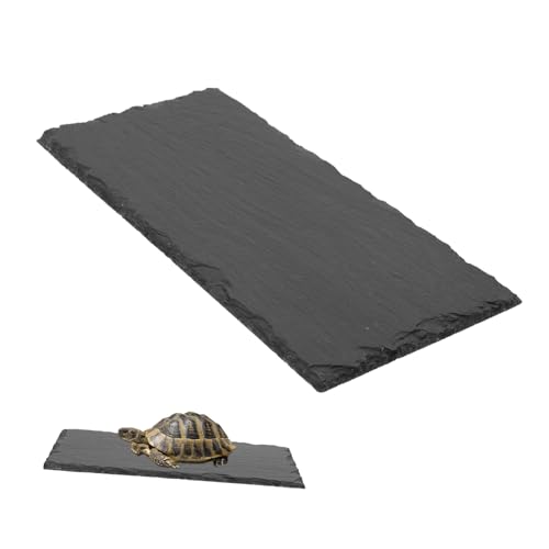 Yardwe Reptilien Futterbecken Aus Natürlichem Stein 25x12cm Glatte Oberfläche Langlebig Und Leicht Zu Reinigen Für Schildkröten Eidechsen Und Geckos Terrarienzubehör Für Kleine Reptilien