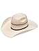 Twister T71684-6.875 4.50 in. 6 Ligne Punchy Bangora Hat44; Ivory44; Tan & Tobacco - Size 6.875