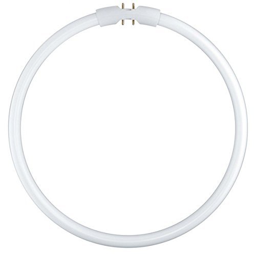 Preisvergleich Produktbild Leuchtstofflampe FC 22 Watt 830 warmweiß 2GX13 Circular Ringlampe - Osram 22W