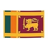 fdgbnm bandiera dello sri lanka vibrante striscione per feste, 119,4 x 43,2 cm, resistente ai raggi uv, resistente allo sbiadimento, 4 occhielli, per uso interno ed esterno.