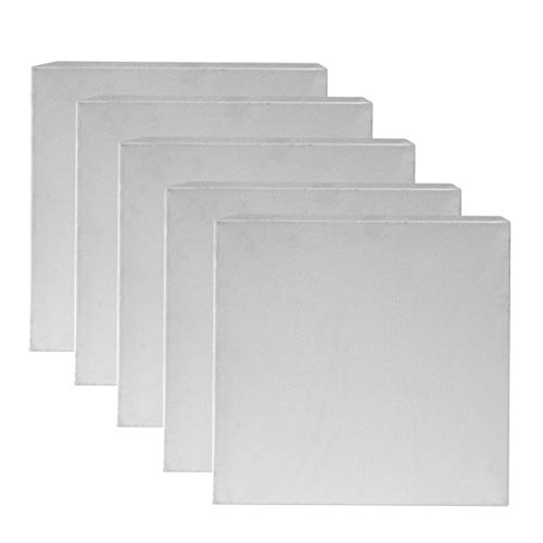 5pcs lona en blanco Academia calidad arte plano estirado lienzo para artista estudiante-doble imprimado
