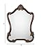 Spinner Camden Distressed Bronze Arch Wall Mirror | Arched Wall Mirror in Distressed Bronze Finish (26 in. W x 35 in. H Arch Mirror)