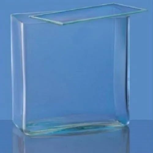ISKO® Specimen Jar with Lid | Rectangular | Soda Glass | Size L20xH10xW5 CM | 1 Pc-image-42