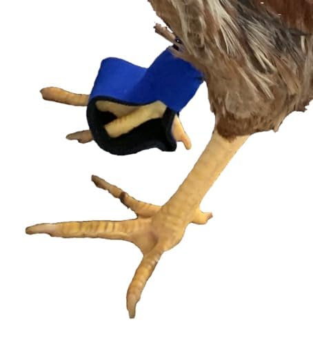 Protective Chicken Shoes, Durable Chicken Sandals for Hens and Roosters, Comfortable Poultry Footwear, Anti-Slip, One Size Fits Most Breeds, Pair, Chicken Supplies, Hen Accessories - Pink