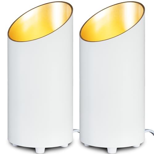 XLGHZOO Uplighting Indoor Floor Can Light, Up Lights Indoor with 3000K GU10 Bulbs, 5W Uplights Floor LED Spot Lights for Plant Picture Behind Couch, Detachable 5.9FT Plug Cord & Foot Switch,2 Pack